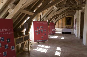 Exposition